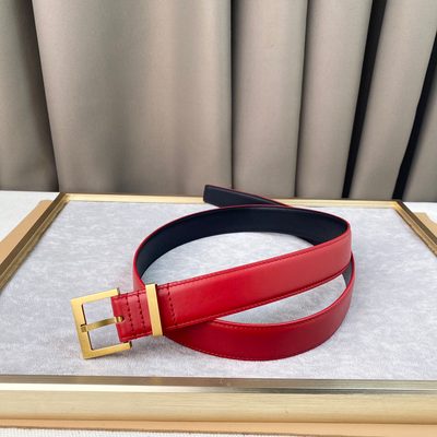 YSL Belt — 4