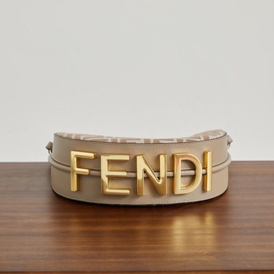 Fendi Fendigraphy bag (T) — 4