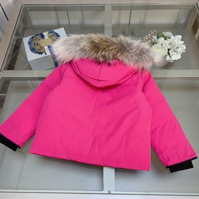 Canada Goose-style expedition winter parka jacket — 9