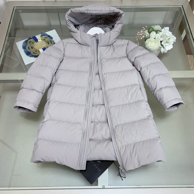 Arc'teryx Down Jacket with Hood — 5