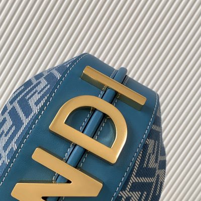 Fendi Fendigraphy bag (T) — 8