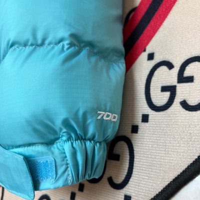 The North Face 1996 Retro Nuptse Puffer Jacket — 5