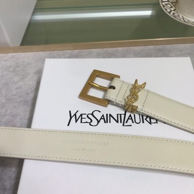 YSL Belt — 8