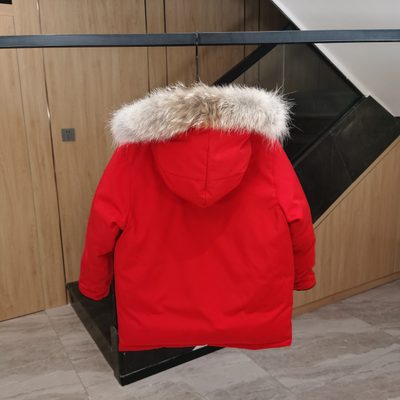 Canada Goose Expedition Parka — 3