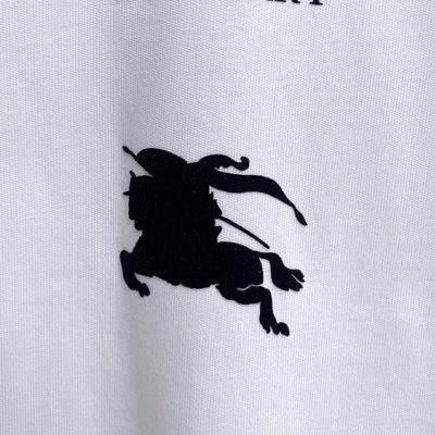 Burberry T-shirt — 4