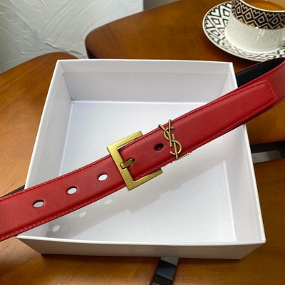 YSL Belt — 4
