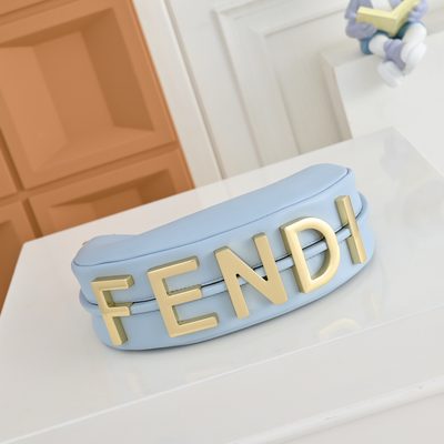 Fendi Fendigraphy Mini hobo bag (T) — 5