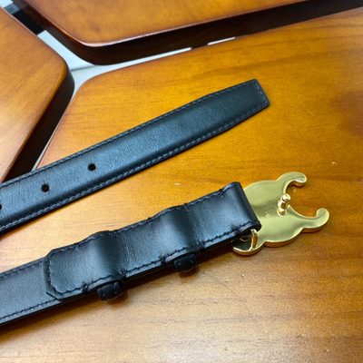 Celine Belt — 6
