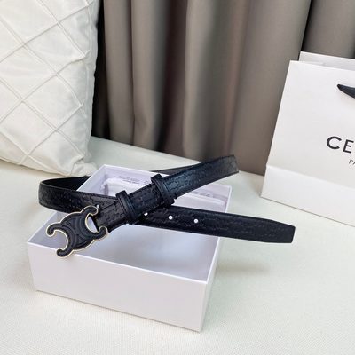 Celine Belt — 4