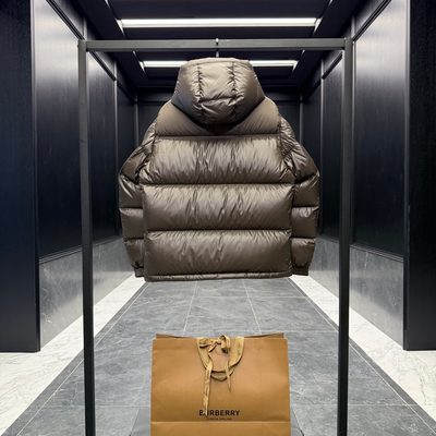 Burberry shiny shell hooded puffer jackets — 9