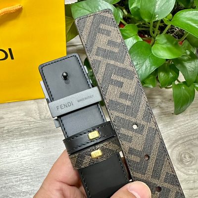 Fendi Belt — 5