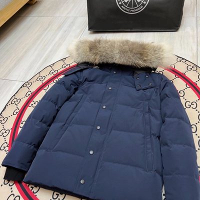 Canada Goose Wyndham Parka — 8