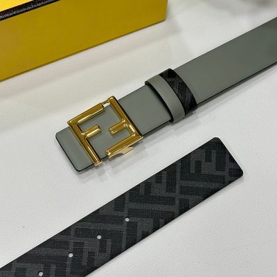 Fendi Belt — 3