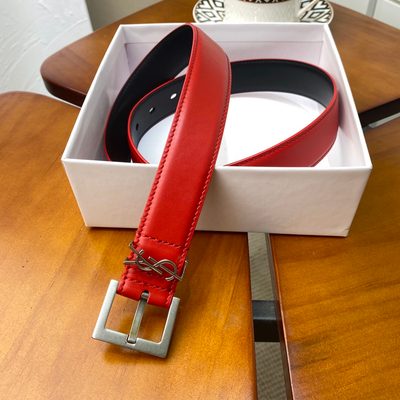 YSL Belt — 5