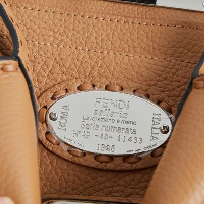 Fendi Peekaboo ISeeU Petite bag (T) — 8