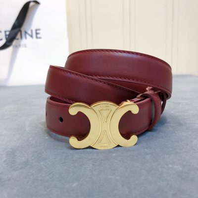 Celine Belt — 3