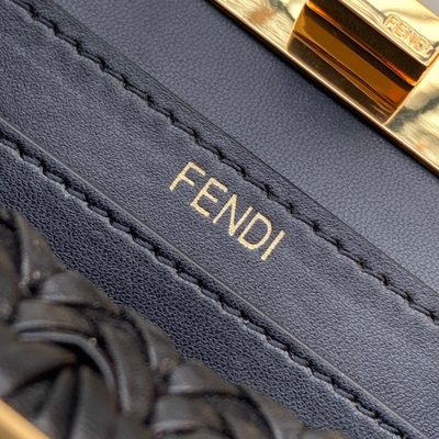 Fendi Peekaboo ISeeU Petite bag (T) — 6