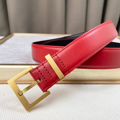 YSL Belt — 6