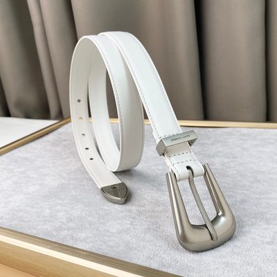 YSL Belt — 6