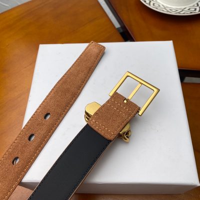 YSL Belt — 6