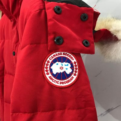 Canada Goose Wyndham Parka — 5