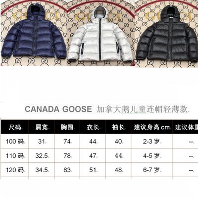 Canada Goose Crofton Hooded Down Jacket — 9