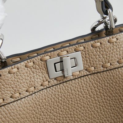 Fendi Peekaboo ISeeU Petite bag (T) — 5