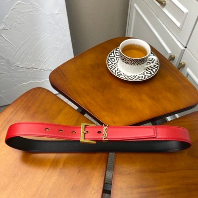 YSL Belt — 5