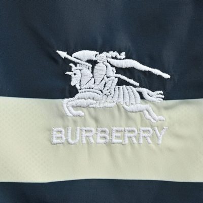 Burberry blue and white checkered swim shorts — 8