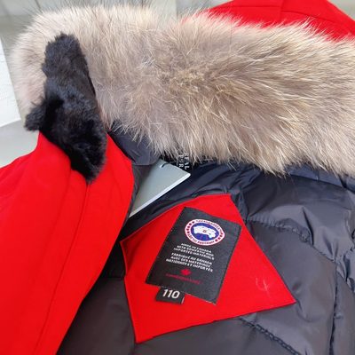 Canada Goose-style expedition winter parka jacket — 4