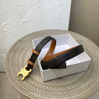 Celine Belt — 5