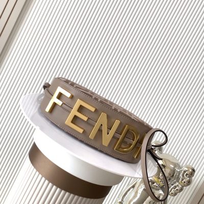 Fendi Fendigraphy Small Bag (T) — 5