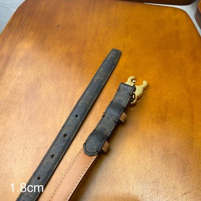 Celine Belt — 6