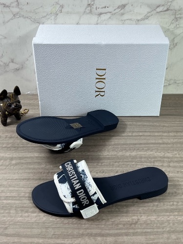 Christian Dior DIO(R)EVOLUTION slides