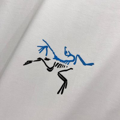 Arc'teryx Kragg SL Cotton T-shirt — 7