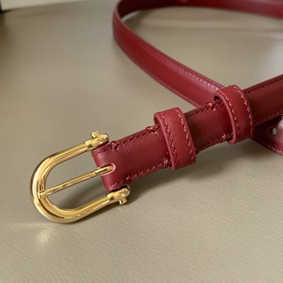 Celine Belt — 3