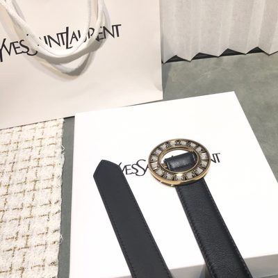 YSL Belt — 5