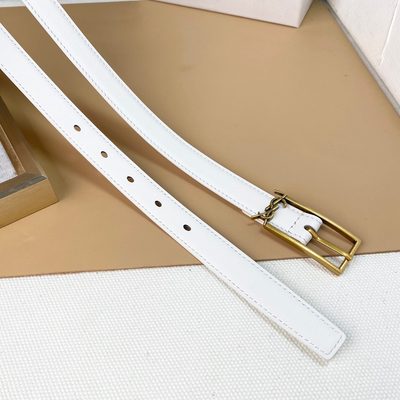 YSL Belt — 6