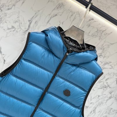 Moncler Panestrel Down Gilet — 4