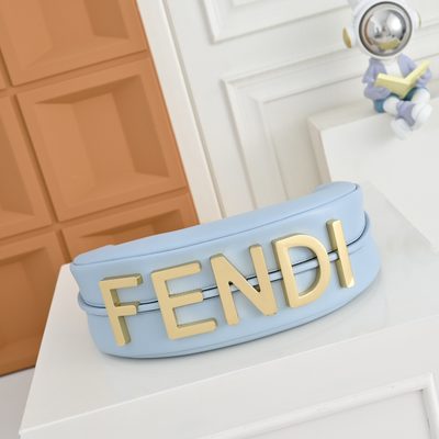 Fendi Fendigraphy Bag (T) — 5
