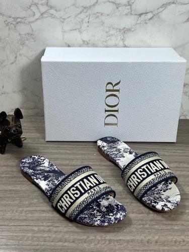 Dior Dway slides