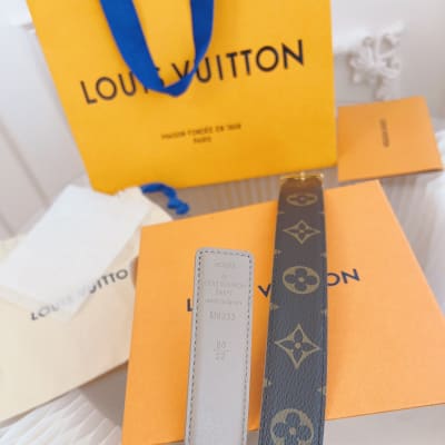 Louis Vuitton Belt — 4