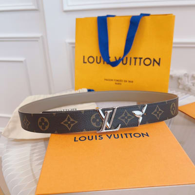 Louis Vuitton Belt — 9