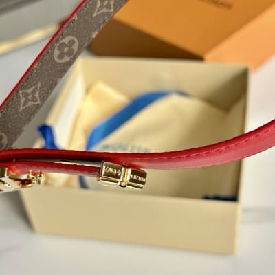 Louis Vuitton Belt — 6
