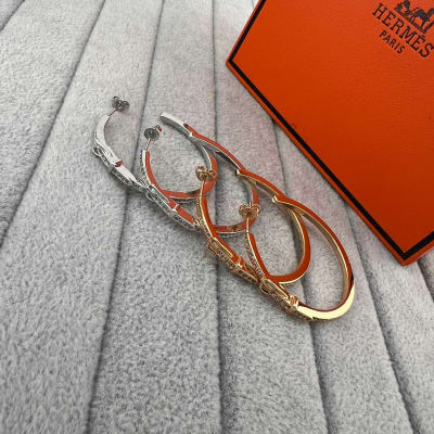 Hermès Earrings — 4