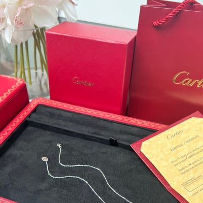 Cartier Necklace — 4