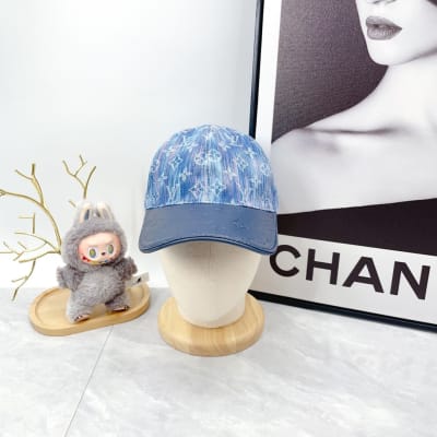 Louis Vuitton Hat