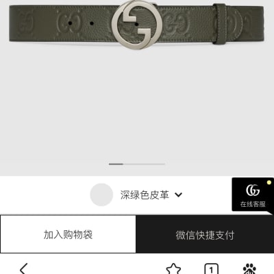 Gucci Belt