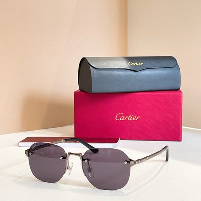 Cartier Sunglasses — 3