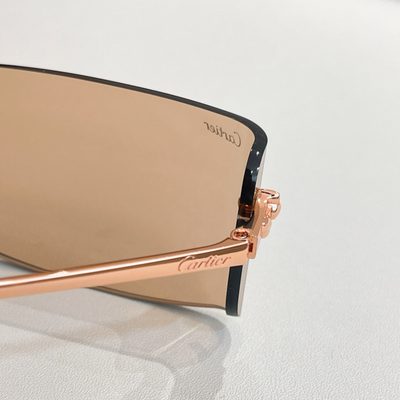Cartier Sunglasses — 6